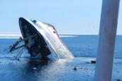 Orosz hajó süllyedése a Jeges- tengeren