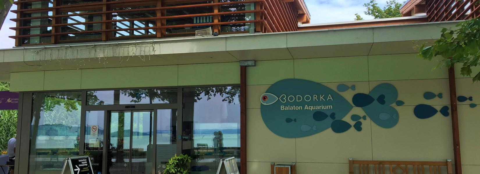 Bodorka Balaton Aquarium