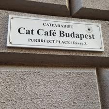 Cat Café