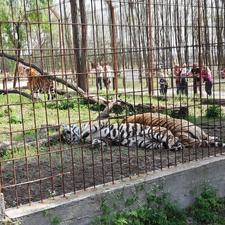 Magán Zoo - Magántulajdonú Állat- és Szabadidőpark Felsőlajos