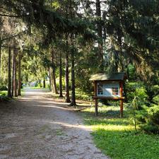 Baracsi úti Arborétum