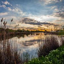 Körös–Maros Nemzeti Park