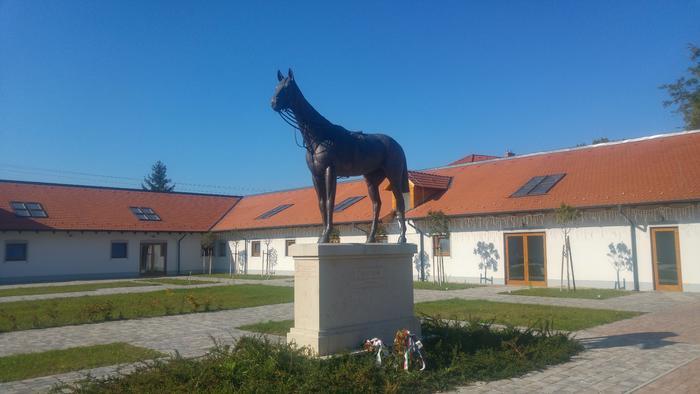 Kincsem életének egyik legfontosabb helyszíne: Göd, Kincsem-park! Kincsem-park, Kincsem szobor, Kincsem lovarda Gödön