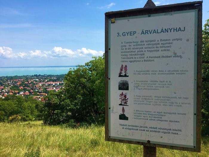 Balatonfüreden végigmehetünk az Aranyember útja tanösvényen, amely gyönyörű panorámával rendelkezik Aranyember útja tanösvény Balatonfüred