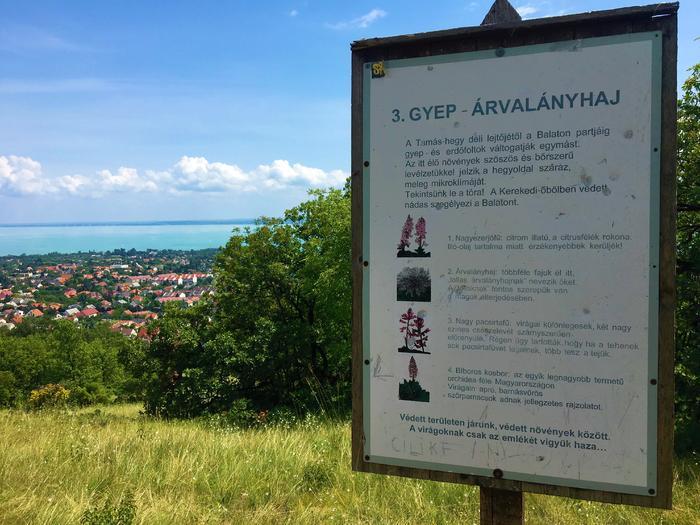 Aranyember útja tanösvény Balatonfüred