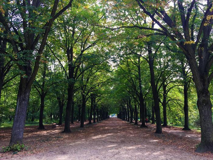 Erzsébet park Gödöllő Erzsébet-park