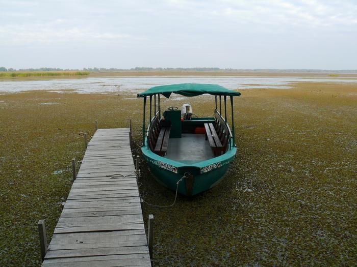 Csónakázás a Tisza-tavon