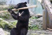 Tovább a bejegyzéshez A kung-fu bocs
