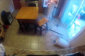Tovább a bejegyzéshez Egy labrador, aki szereti kifosztani a hűtőt