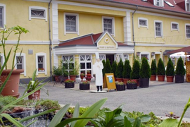 Aranysas hotel, Alsóörs elérhetőségek, kapcsolat, nyitvatartás, telefonszám