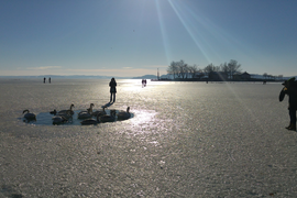 Balaton advent idején