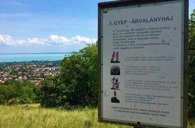 Aranyember útja tanösvény Balatonfüred