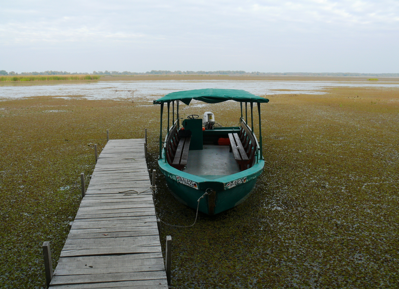 Csónakázás a Tisza-tavon
