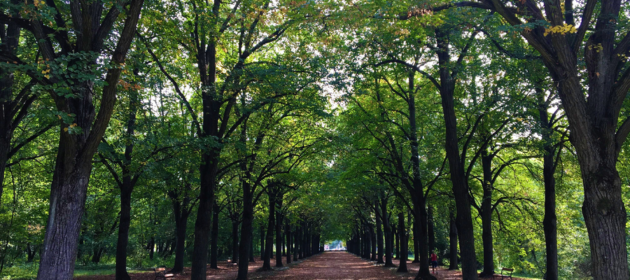 Erzsébet park Gödöllő Erzsébet-park
