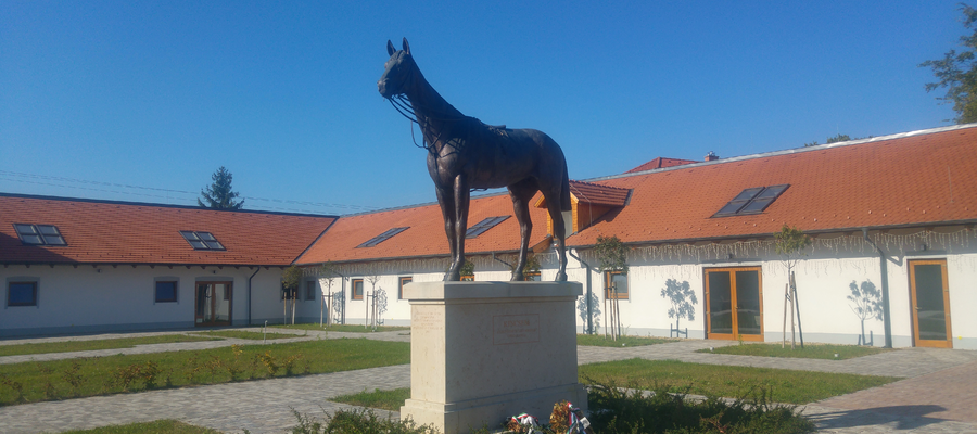 Kincsem életének egyik legfontosabb helyszíne: Göd, Kincsem-park! Kincsem-park, Kincsem szobor, Kincsem lovarda Gödön