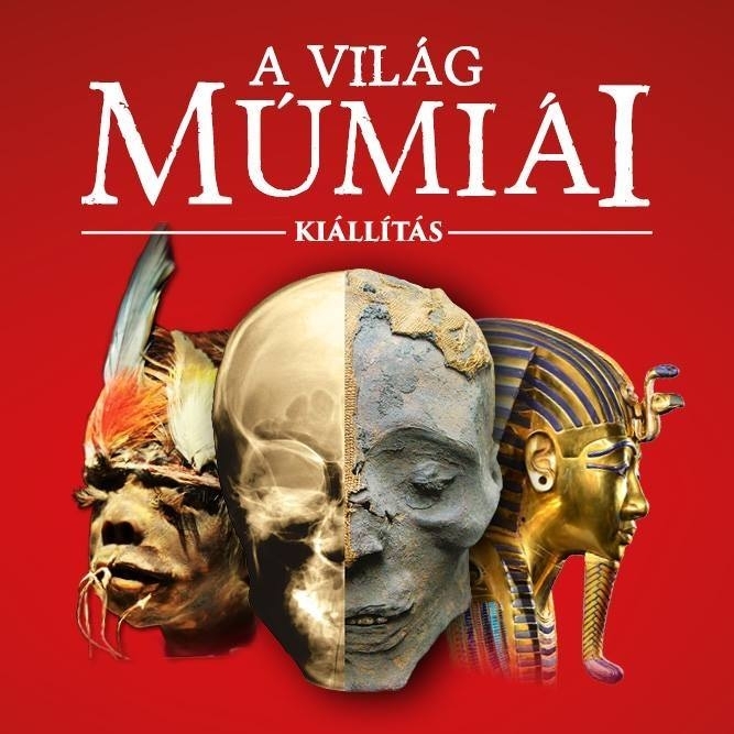 A Világ Múmiái Kiállítás A Világ Múmiái Kiállítás