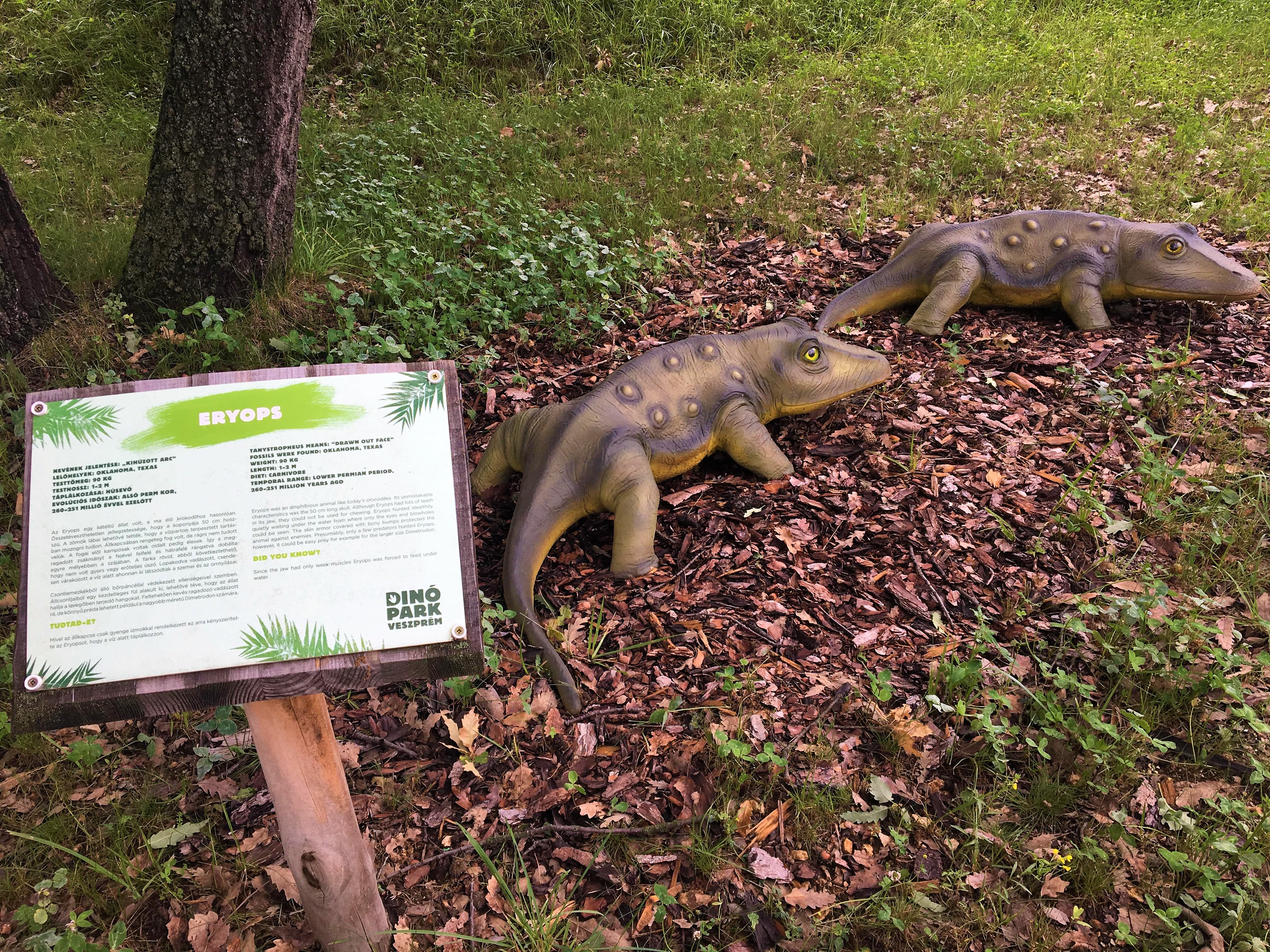 Dínó Park a Veszprémi Állatkertben