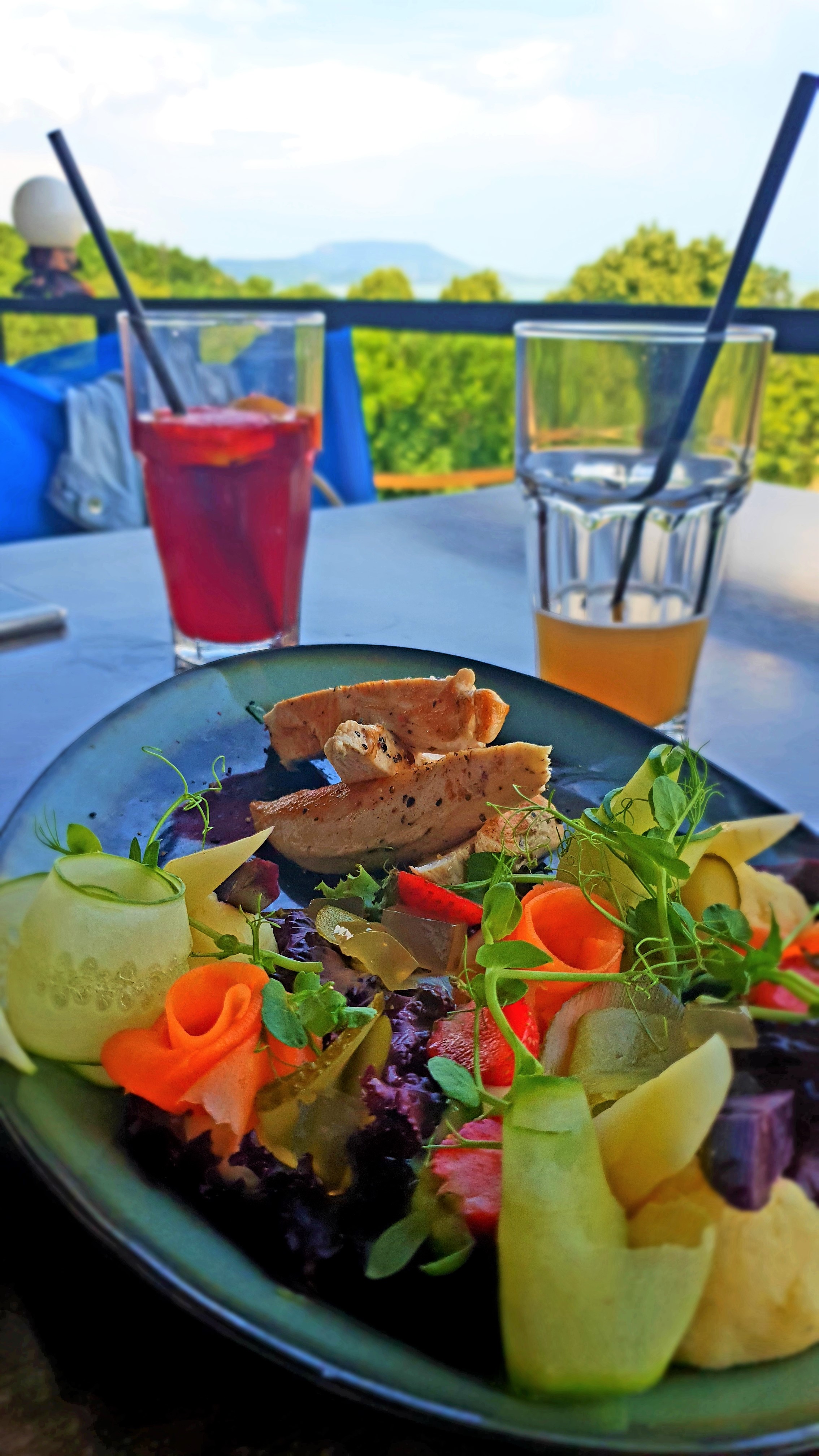 balaton étterem, balatoni étterem, balatongyörök étterem, balaton étterem vélemény, balatongyörök étterem vélemény, élménytérkép, élménytérkép étterem Csóka Fészek Étterem ételkülönlegessége